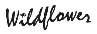 WILDFLOWER