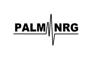 PALM NRG