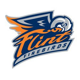 FLINT FIREBIRDS