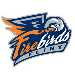 FIREBIRDS FLINT