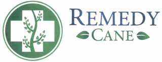 REMEDY CANE