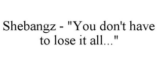 SHEBANGZ - "YOU DON'T HAVE TO LOSE IT ALL..."