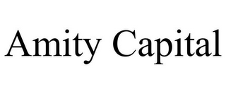 AMITY CAPITAL
