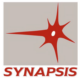 SYNAPSIS