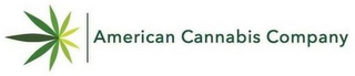 AMERICAN | CANNABIS COMPANY