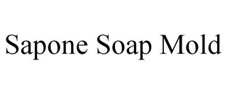 SAPONE SOAP MOLD