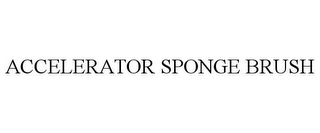 ACCELERATOR SPONGE BRUSH