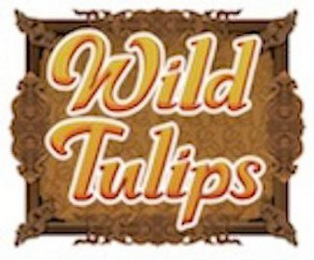 WILD TULIPS