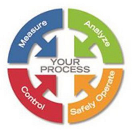 MEASURE ANALYZE SAFELY OPERATE CONTROL YOUR PROCESS