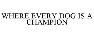 WHERE EVERY DOG IS A CHAMPION