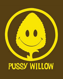 PUSSY WILLOW