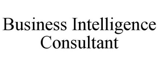 BUSINESS INTELLIGENCE CONSULTANT