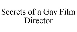 SECRETS OF A GAY FILM DIRECTOR