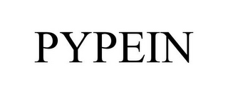 PYPEIN