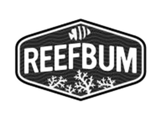 REEFBUM
