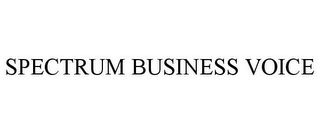 SPECTRUM BUSINESS VOICE