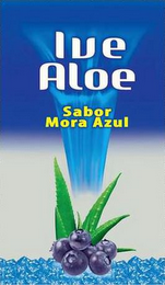 IVE ALOE SABOR MORA AZUL