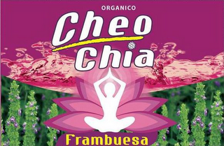 ORGANICO CHEO CHIA FRAMBUESA