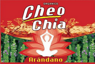 ORGANICO CHEO CHIA ARÁNDANO