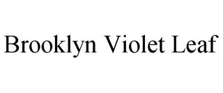 BROOKLYN VIOLET LEAF