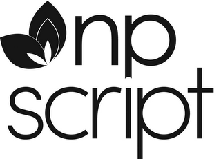 NP SCRIPT