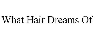 WHAT HAIR DREAMS OF