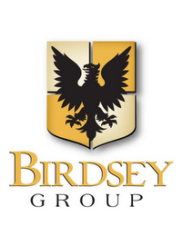 BIRDSEY GROUP