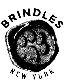 BRINDLES NEW YORK