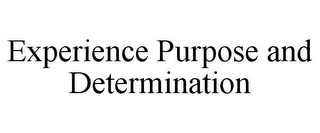 EXPERIENCE PURPOSE AND DETERMINATION