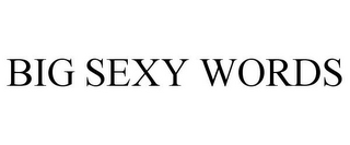 BIG SEXY WORDS