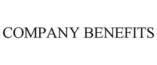 COMPANY BENEFITS