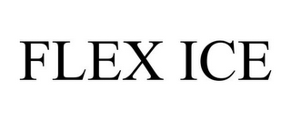 FLEX ICE