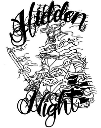 HIDDEN NIGHT