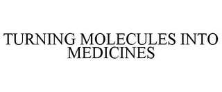 TURNING MOLECULES INTO MEDICINES