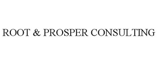 ROOT & PROSPER CONSULTING