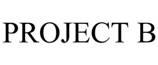 PROJECT B