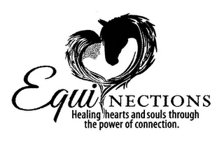 EQUI NECTIONS HEALING HEARTS AND SOULS THROUGH THE POWER OF CONNECTION.