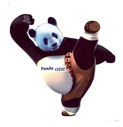 PANDA ONE