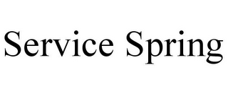 SERVICE SPRING