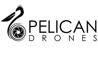 PELICAN DRONES