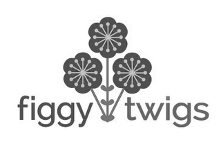 FIGGY TWIGS