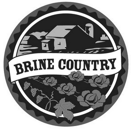 BRINE COUNTRY