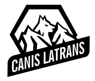 CANIS LATRANS