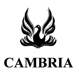 CAMBRIA