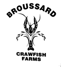 BROUSSARD CRAWFISH FARMS