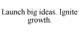 LAUNCH BIG IDEAS. IGNITE GROWTH.