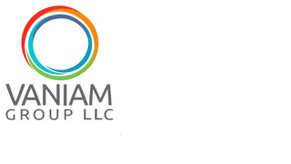 VANIAM GROUP LLC