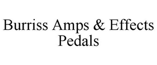 BURRISS AMPS & EFFECTS PEDALS