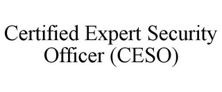 CERTIFIED EXPERT SECURITY OFFICER (CESO)