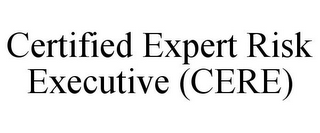 CERTIFIED EXPERT RISK EXECUTIVE (CERE)